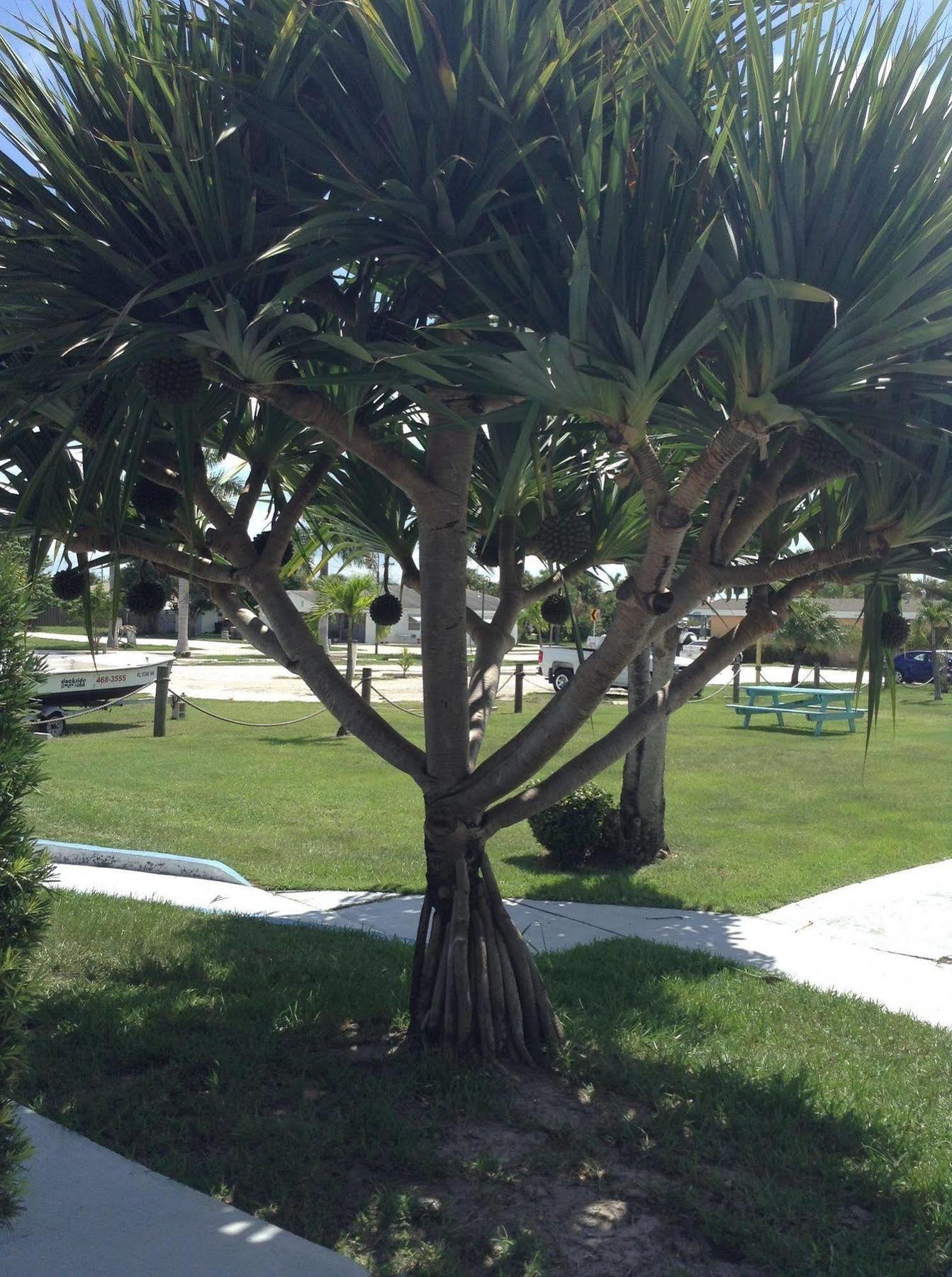 Dockside Inn & Resort Fort Pierce Exterior photo